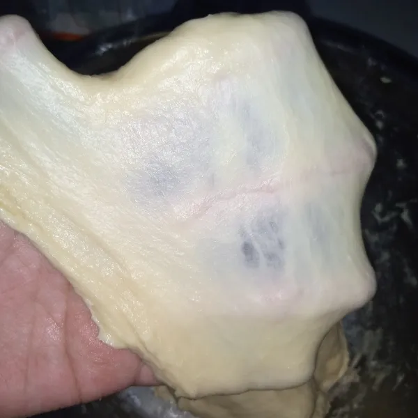 mixer kembali hingga Kalis elastis