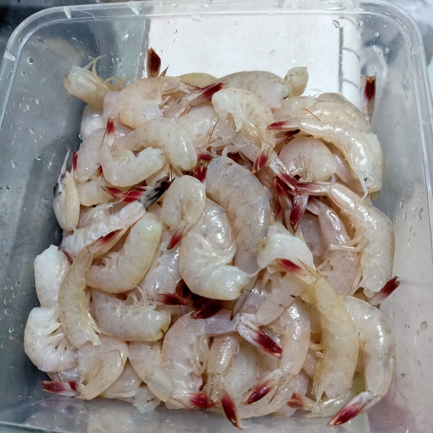 Langkah 1