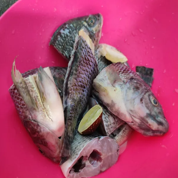 Cuci bersih ikan nila, beri perasan jeruk nipis dan garam, aduk rata dan diamkan 15 menit.