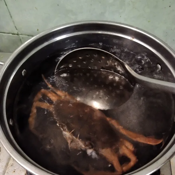 Langkah yang pertama cuci bersih kepiting dan didihkan air. Masukkan kepiting yang sudah dicuci bersih.