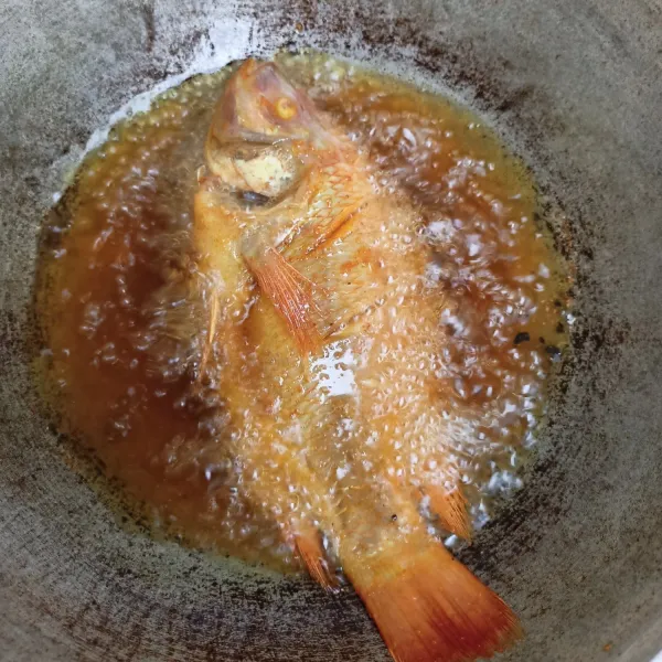 Panaskan minyak, goreng ikan nila hingga matang.