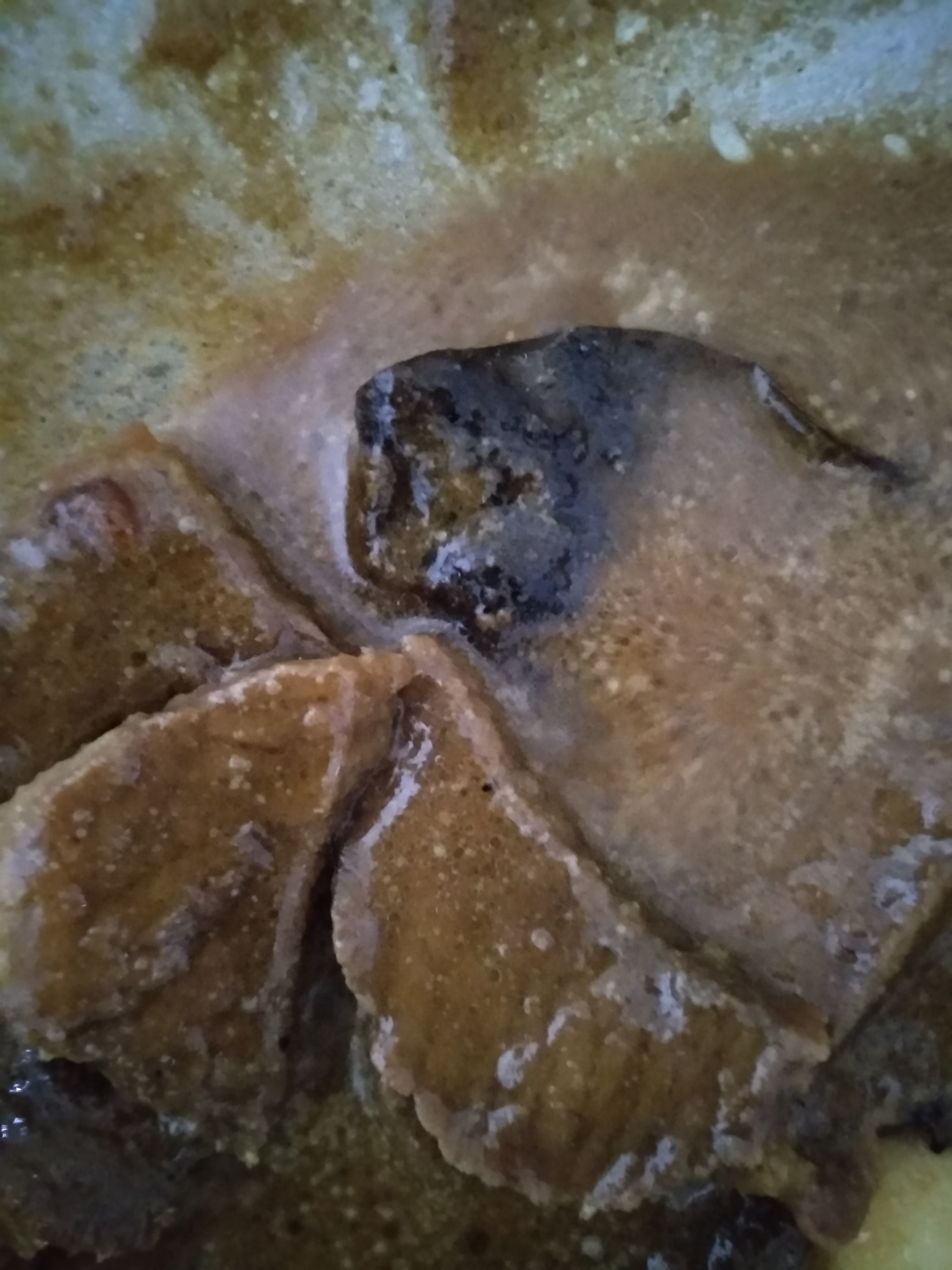 Langkah 5