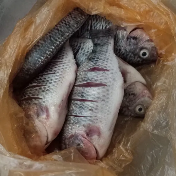 Siangi ikan, cuci bersih, lalu kerat-kerat.