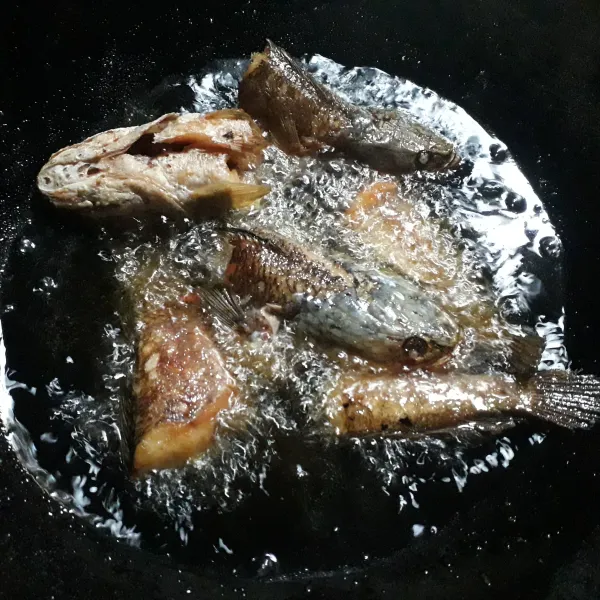 Goreng ikan haruan atau gabus hingga matang, sisihkan.