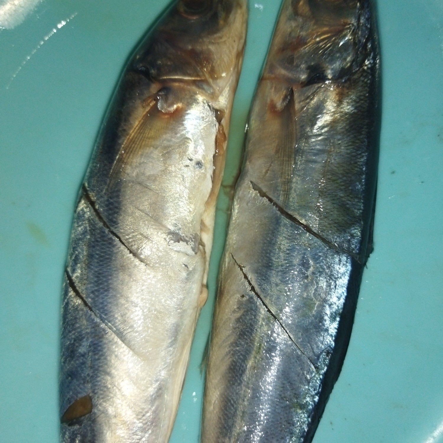 Langkah 1
