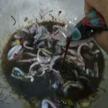 Tambahkan kecap manis, gula, garam, lada, dan saos tiram. Aduk hingga tercampur rata, koreksi rasa, setelah mendidih matikan api, taburi dengan bawang merah goreng, sajikan dengan nasi hangat dan kerupuk.