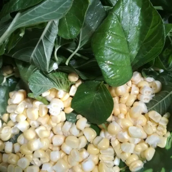 Cuci bersih bayam yang sudah di siangi, lalu sisir jagung manis.