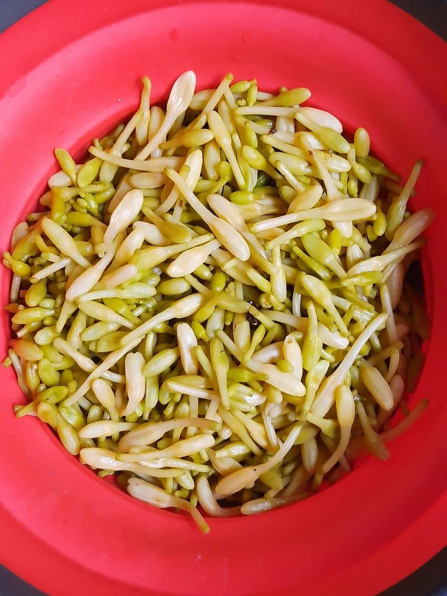 Step 1 Tumis Bunga Pepaya