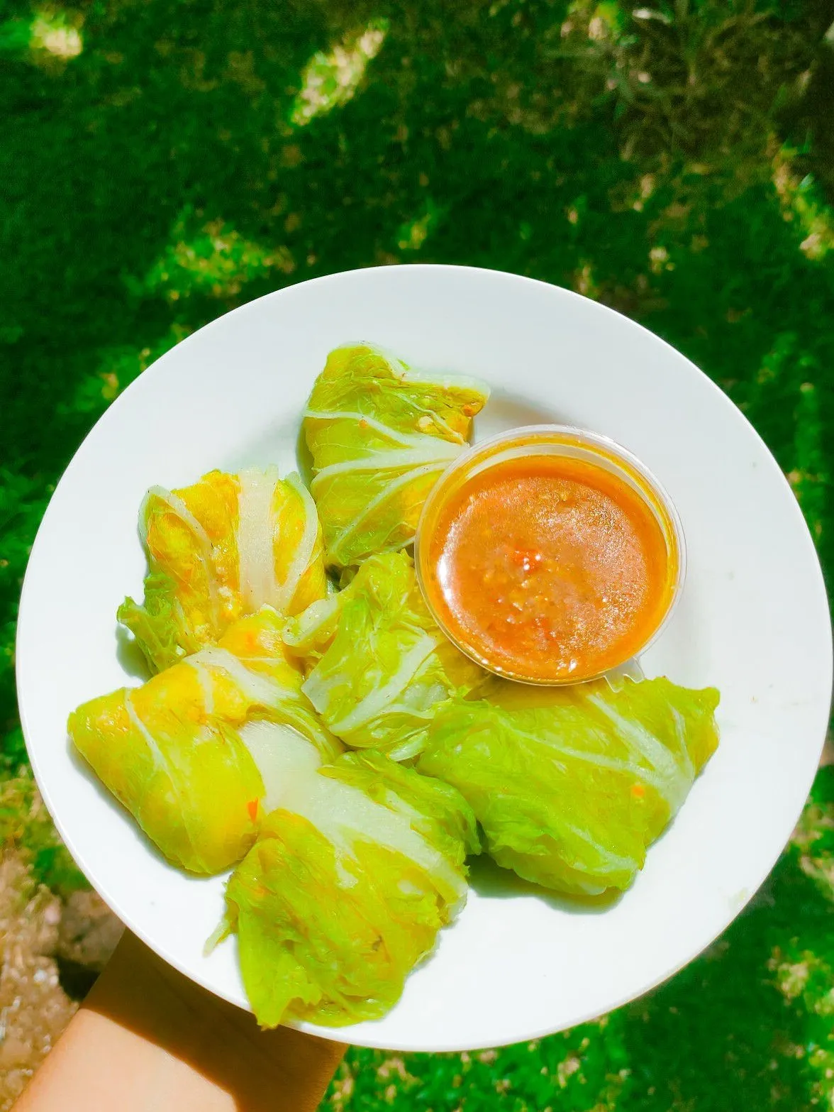 Step 9 Sawi Gulung isi Tahu Ayam