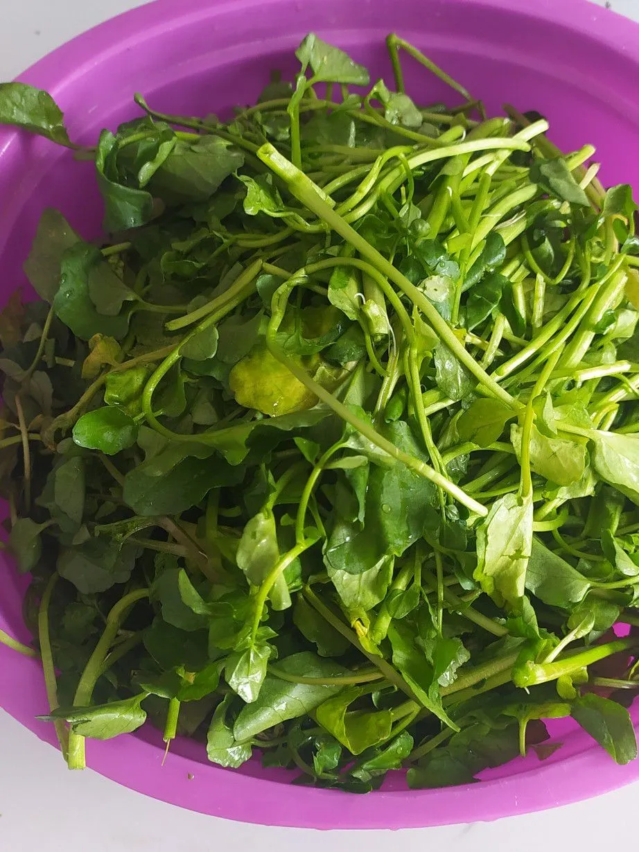 Step 1 Tumis Selada Air