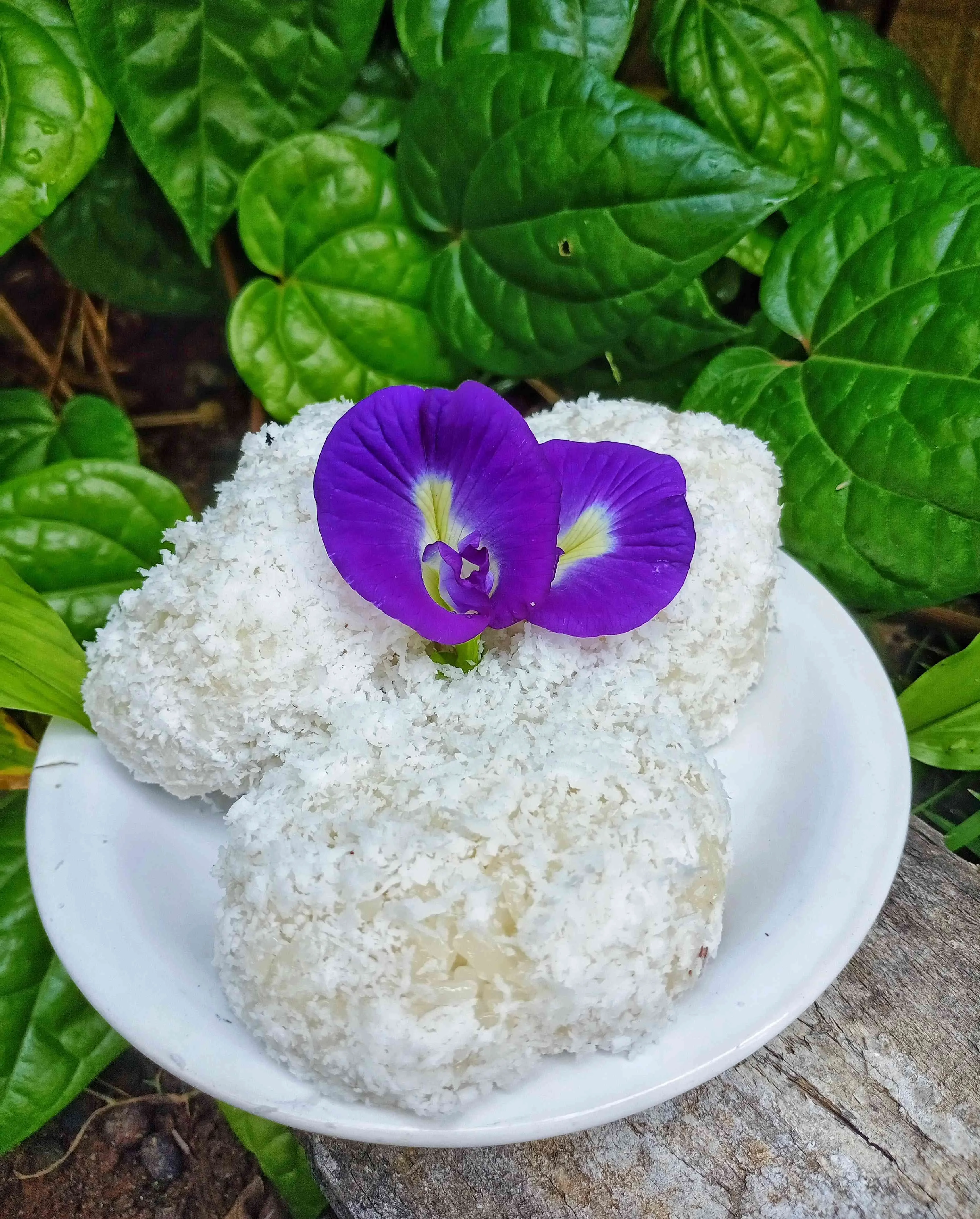 Ketan kelapa putih