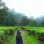 Fitrianisr