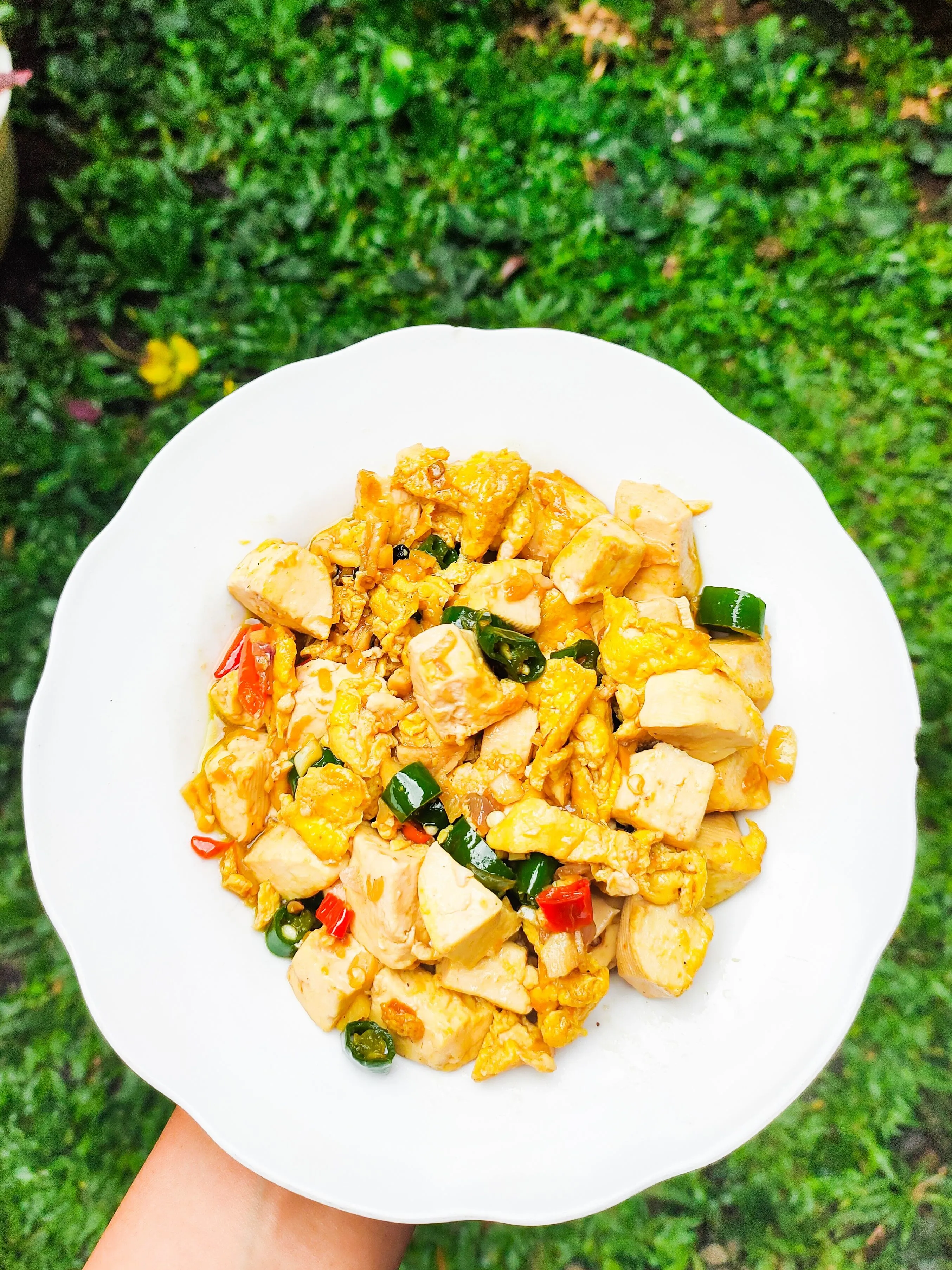 Step 8 Tumis Tahu Telur