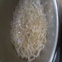 Rebus kecambah dan sawi, lalu angkat dan tiriskan. Untuk penyajian, tata mie, kecambah, dan sawi. Siram dengan saus kacang, kemudian taburi irisan seledri dan telur rebus.