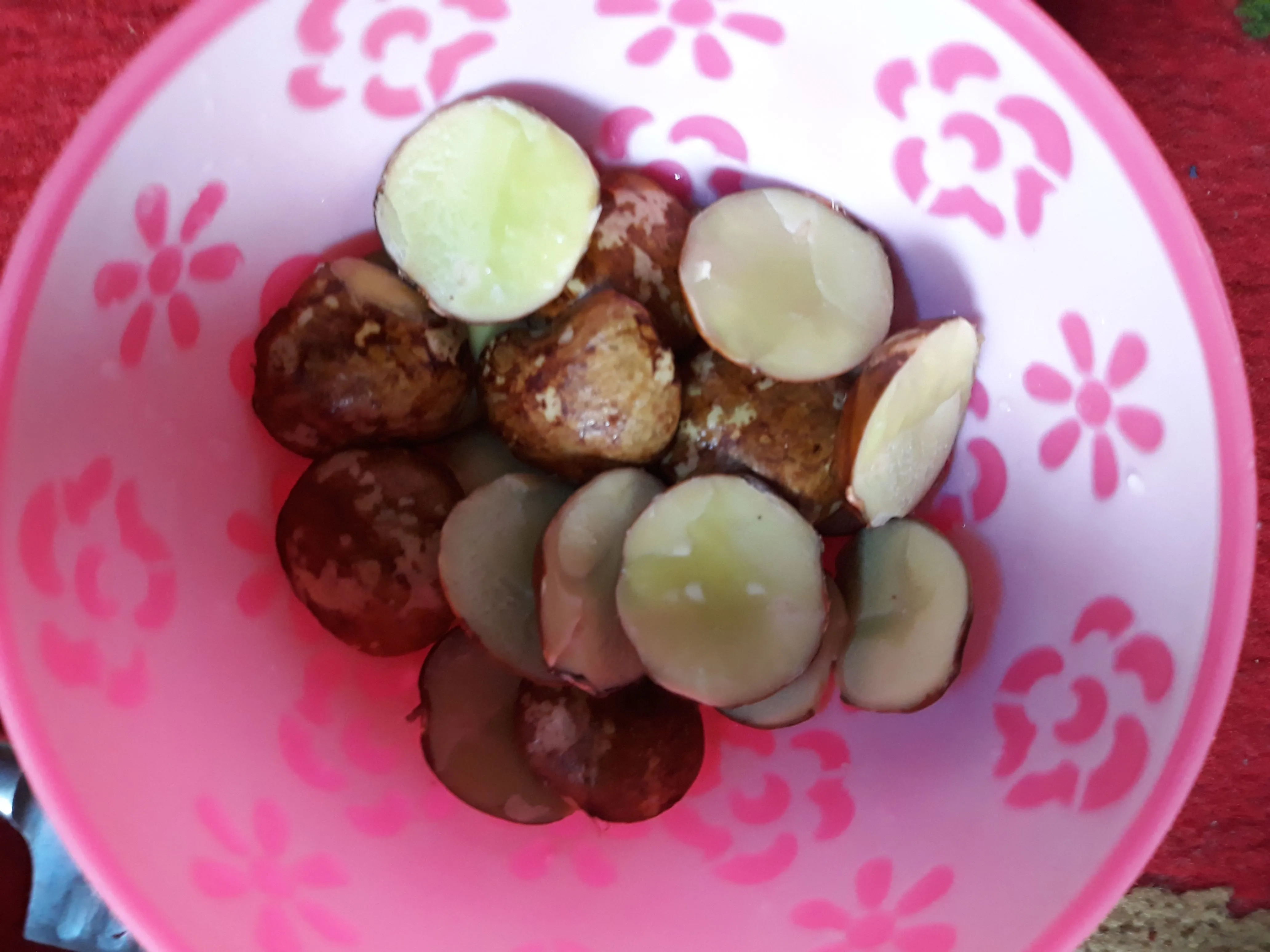 Step 1 Jengkol Sambal Dadar Telur