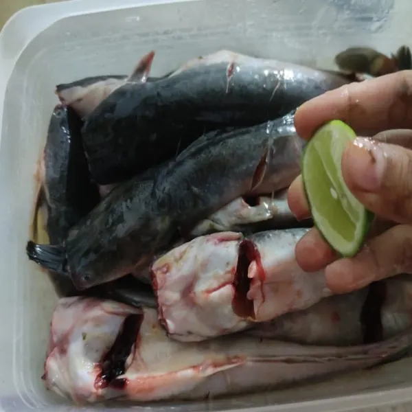 Cuci bersih ikan lele, kemudian beri perasan jeruk nipis. Diamkan selama 5 menit, kemudian bilas kembali.