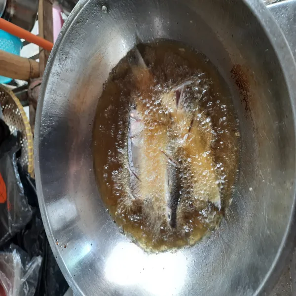 Buang sisik ikan belanak, kemudian cuci bersih. Lumuri dengan perasan air jeruk nipis dan garam 1 sdt. Kemudian goreng hingga matang.