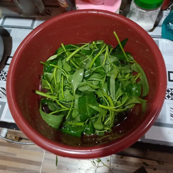 Rendam kangkung selama 15 menit menggunakan air garam. Agar tidak ada ulat dan warnanya tetap cantik walau sudah dimasak.