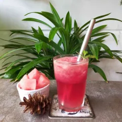 Watermelon Lemonade