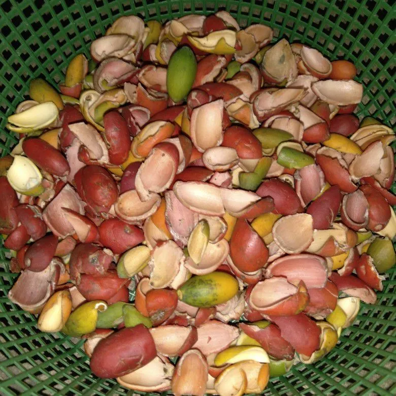 Step 2 Oseng Jagung Putren Kulit Melinjo