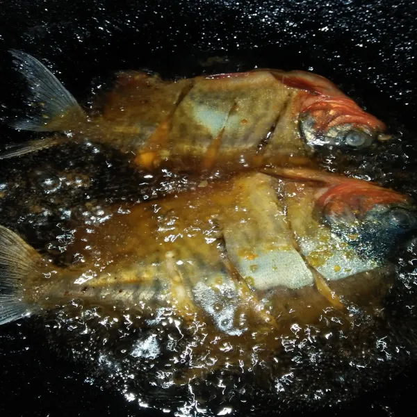 Bersihkan ikan bawal dan goreng ikan tanpa dibumbui.