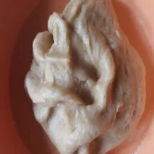 Diamkan adonan sampai mengembang 2x lipat. Tutup dengan plastik wrap atau kain bersih. Lalu kempeskan adonan.