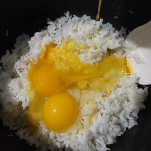 Kemudian aduk rata nasi dengan telur.