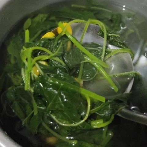 Step 4 Sayur Bayam Temu Kunci