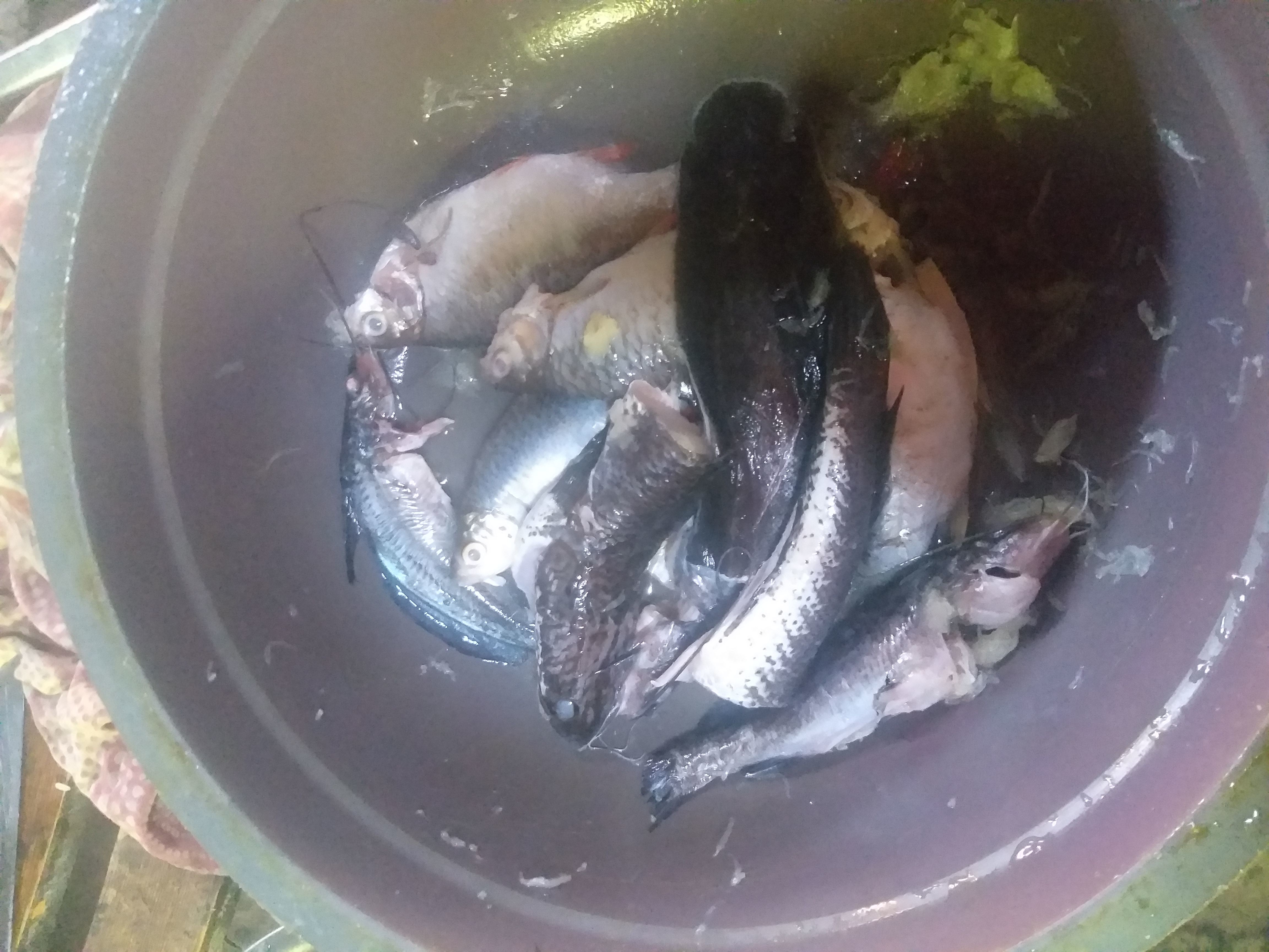 Langkah 1
