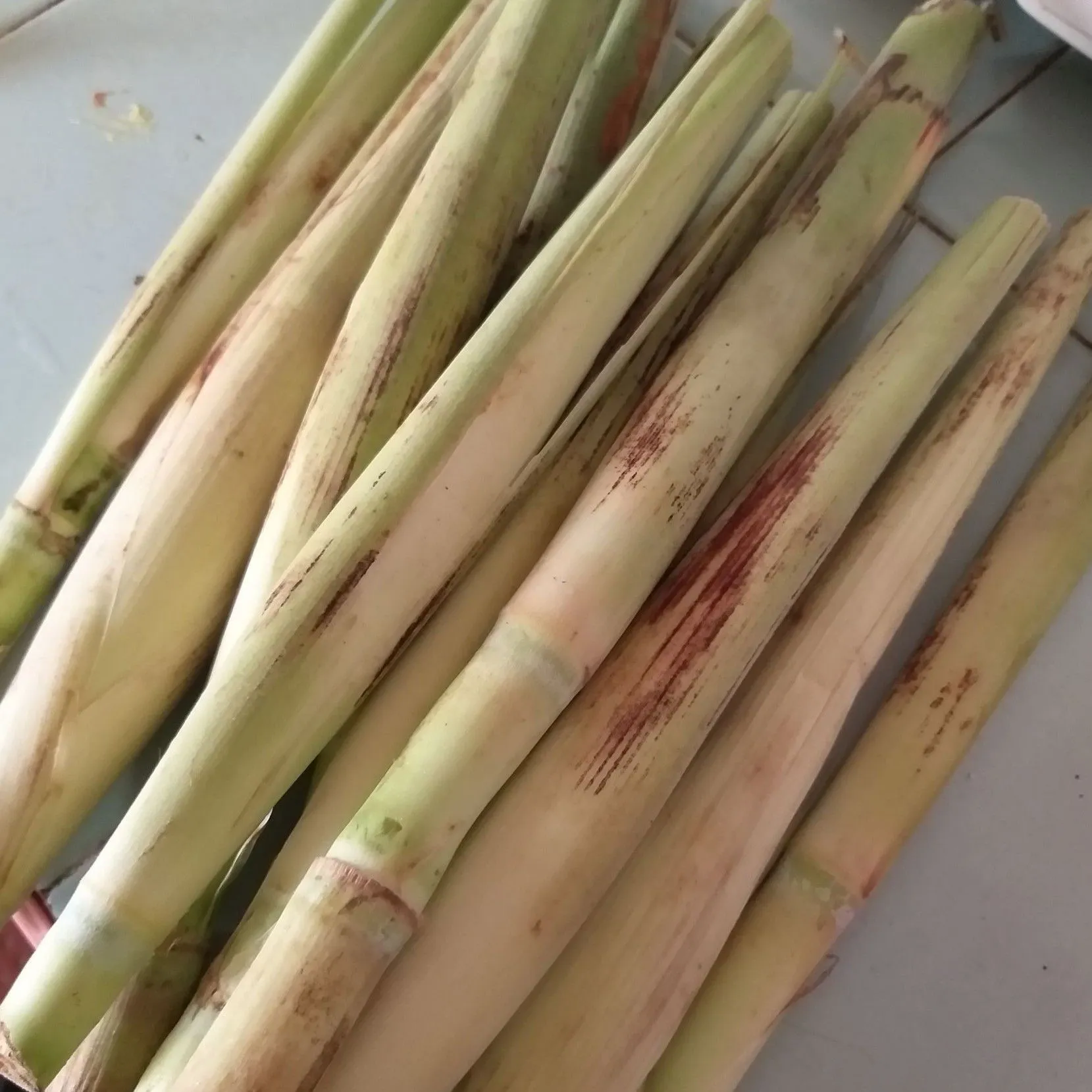 Step 1 Sayur Terubuk