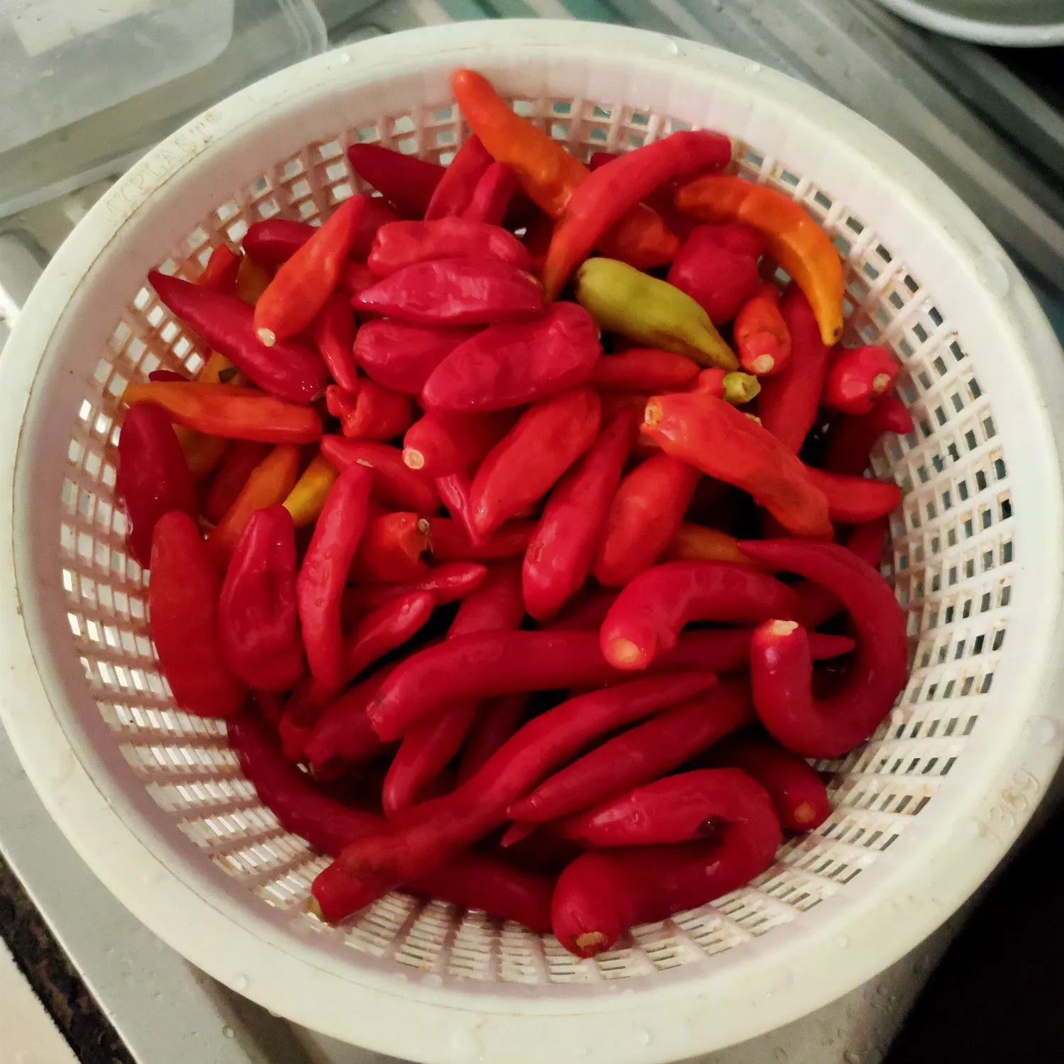 Step 2 Cabe Bubuk Homemade