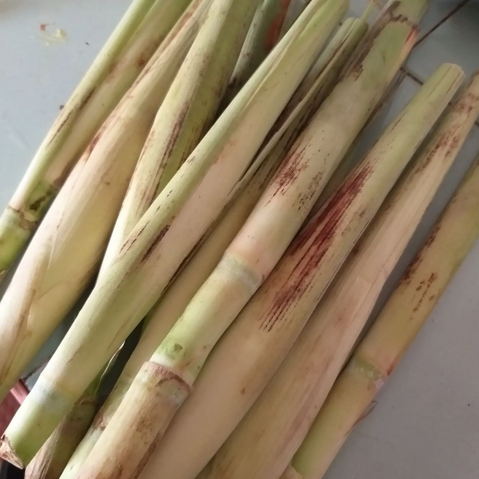 Step 1 Tumis Terubuk Telur