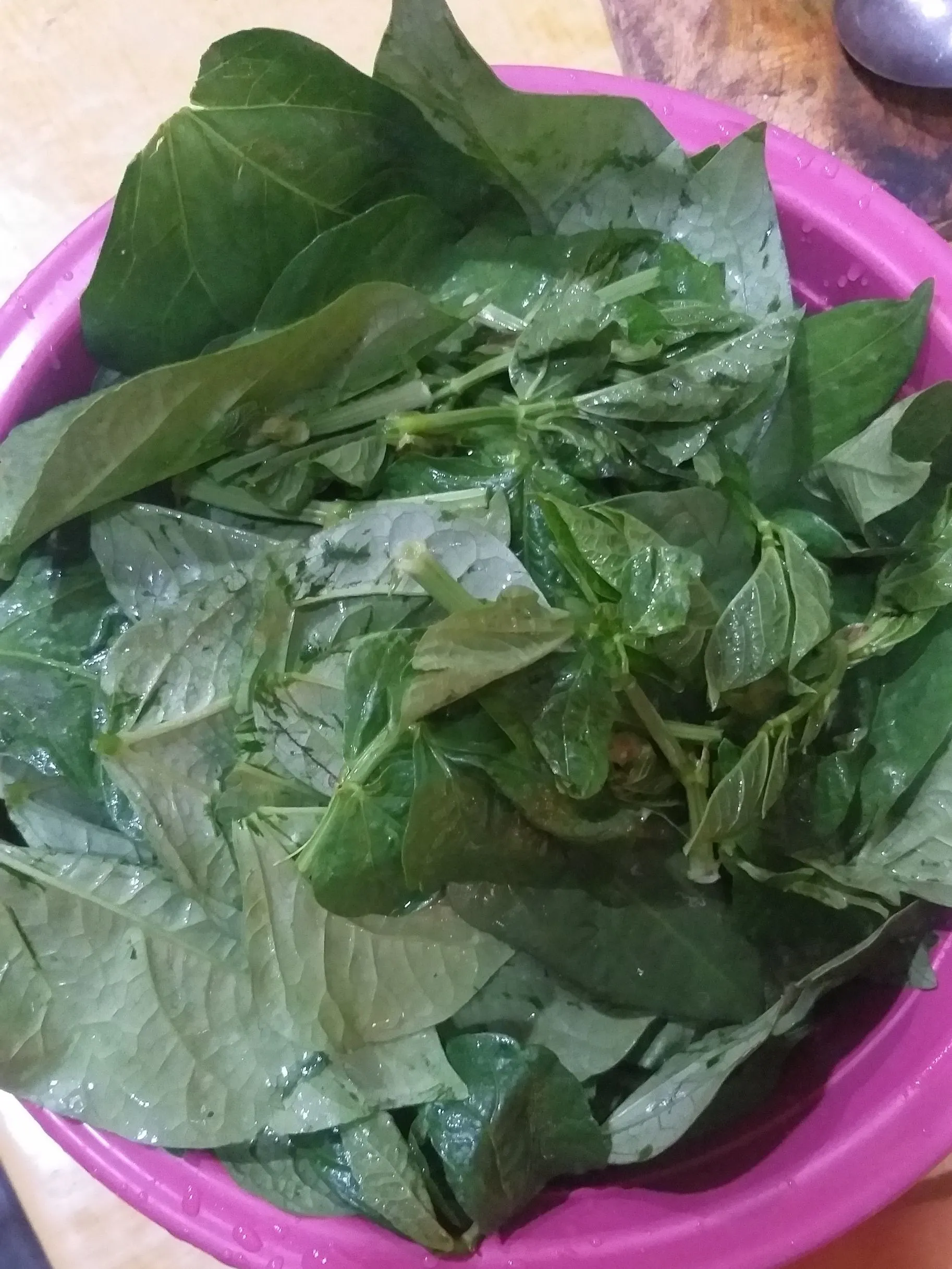 Step 1 Lembayung Santan