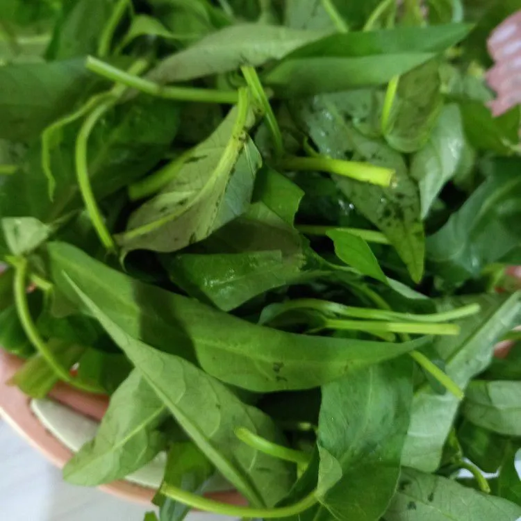 Step 1 Tumis Kangkung