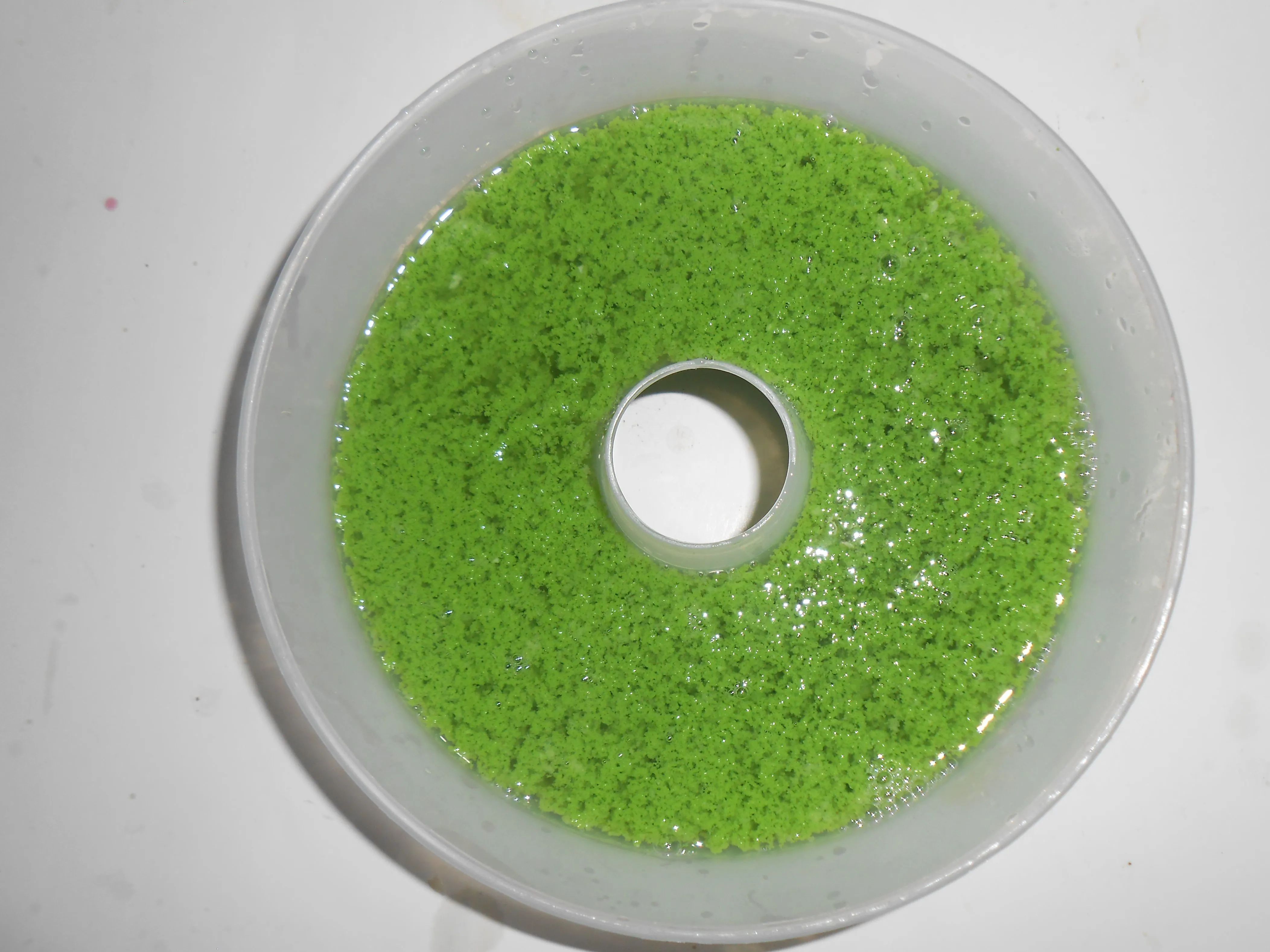 Step 5 Puding Lumut Daun Suji dan Pandan