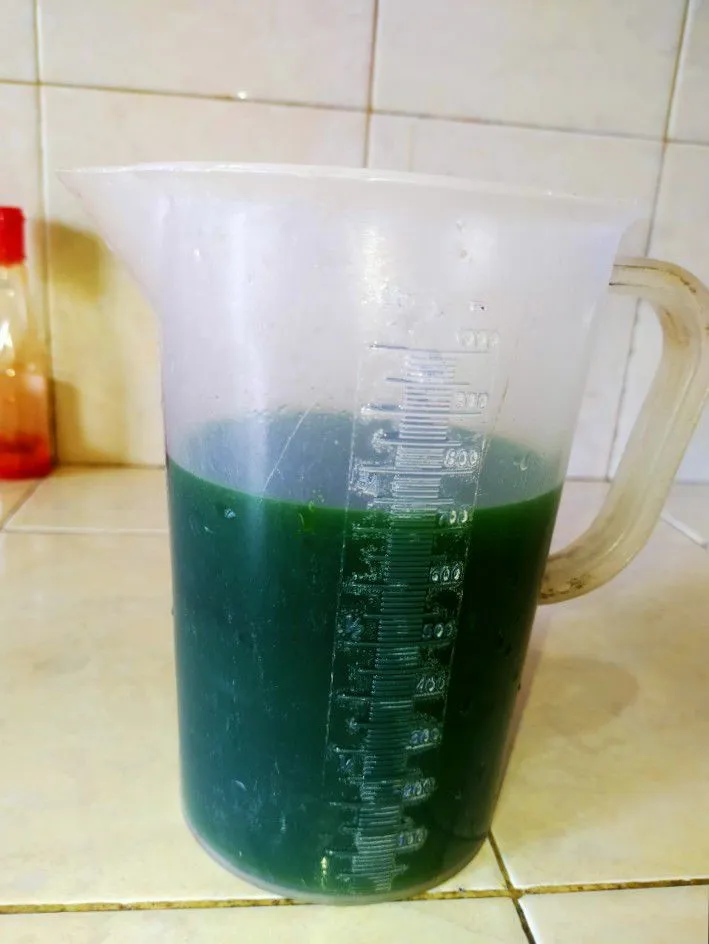 Step 1 Dadar Gulung Pandan Isi Mie