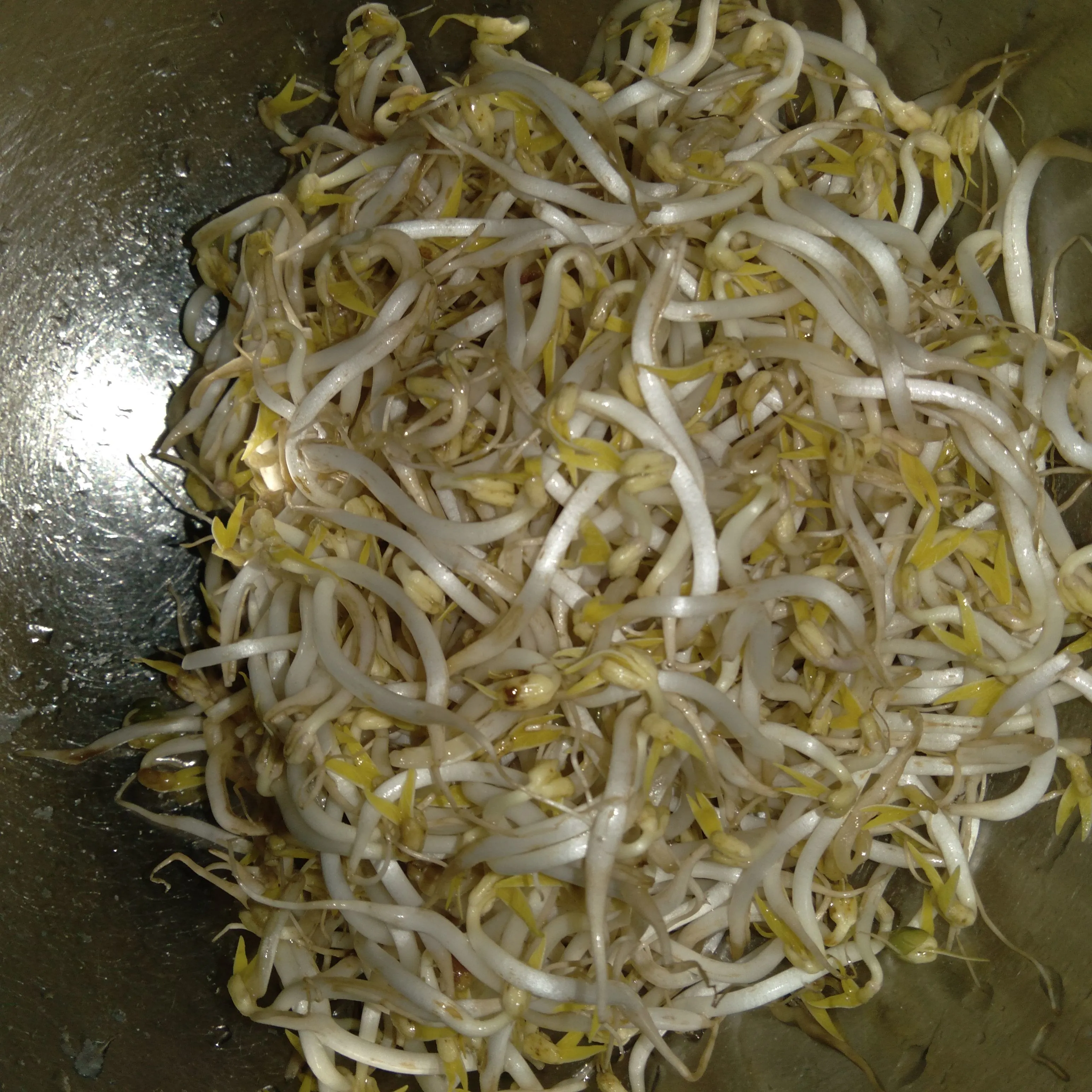Step 2 Tumis Toge Kucai Sambal Terasi