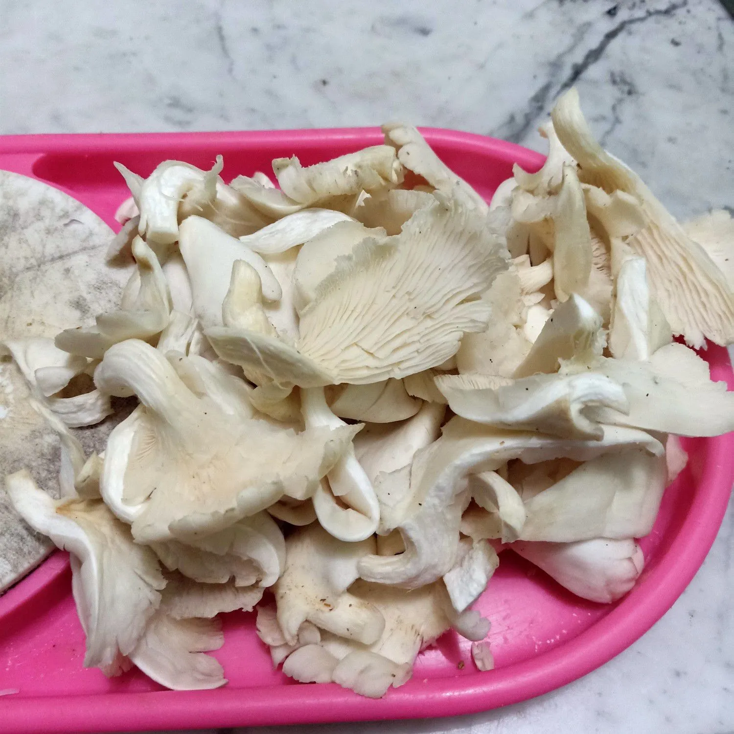 Step 4 Oseng Sosin Jamur Putih