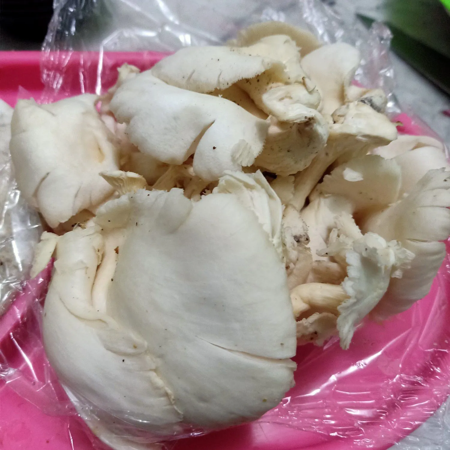 Step 3 Oseng Sosin Jamur Putih