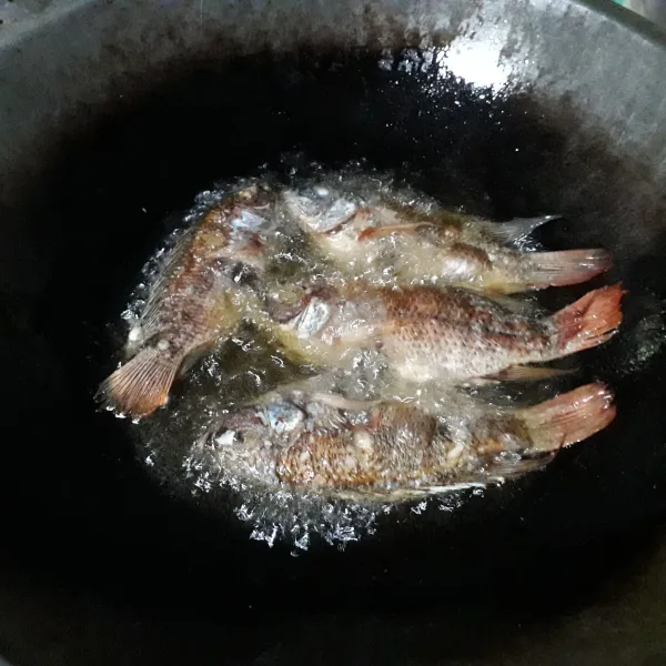 Siangi ikan, beri perasan jeruk nipis dan garam, lalu goreng setengah matang, sisihkan.