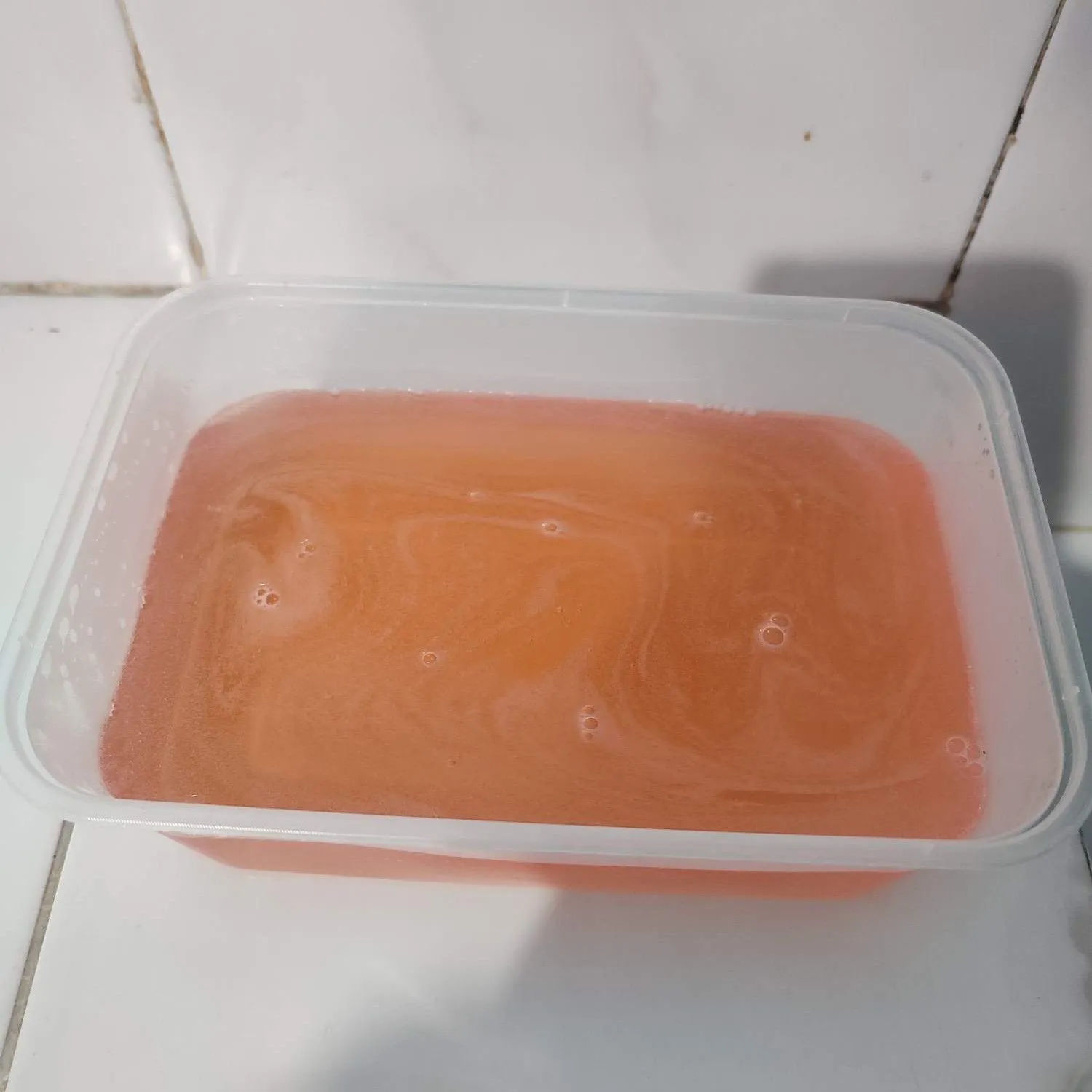 Step 2 Mango Sago Telang