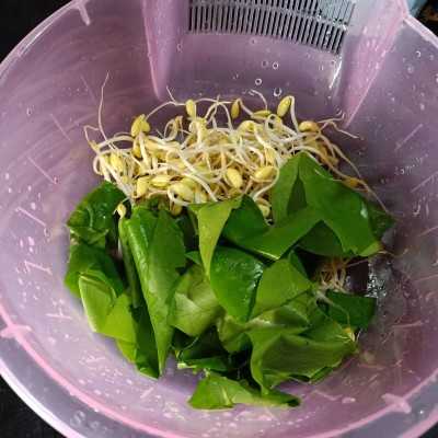 Step 1 Sayur Godhong So