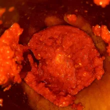 Blender halus cabe merah, bawang merah, bawang putih, kunyit dan jahe.