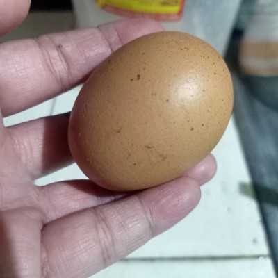 Step 5 Ramyeon Egg Nori Gochujang #NoriEkstraPoint