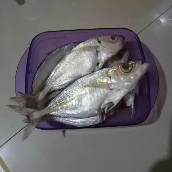 Bersihkan ikan kembung, bilas hingga bersih. Lumuri dengan kunyit bubuk dan garam.