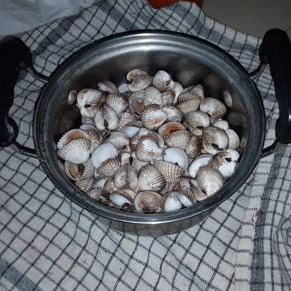 Rendam kerang dara dengan air garam selama 1 jam. Sikat cangkang kerang, kemudian bilas hingga bersih. Rebus air hingga mendidih. Masukkan kerang dara, masak hingga cangkang terbuka. Angkat dan tiriskan.