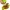 Ayam Pandan Thailand Sambal Tomat