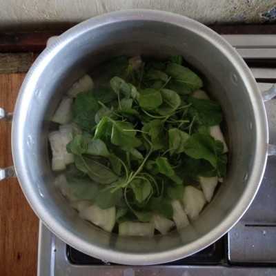Step 6 Bening Bayam Kenti Jagung