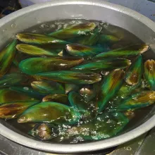 Cuci bersih kerang, lalu rebus hingga cangkangnya terbuka.