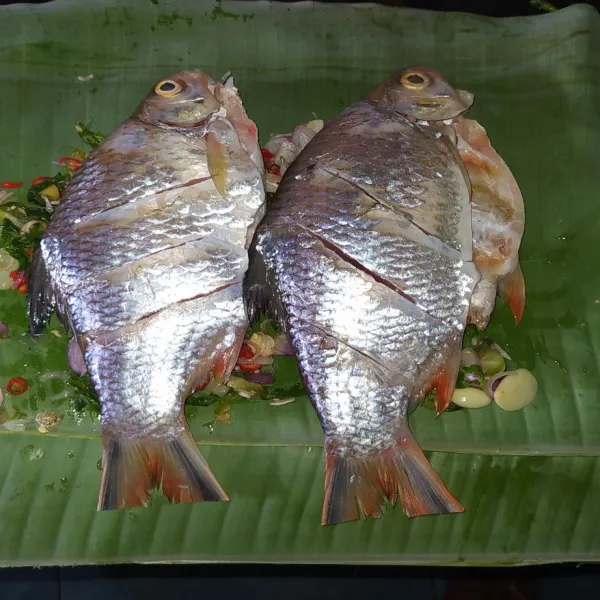Lalu letakkan ikan di atasnya